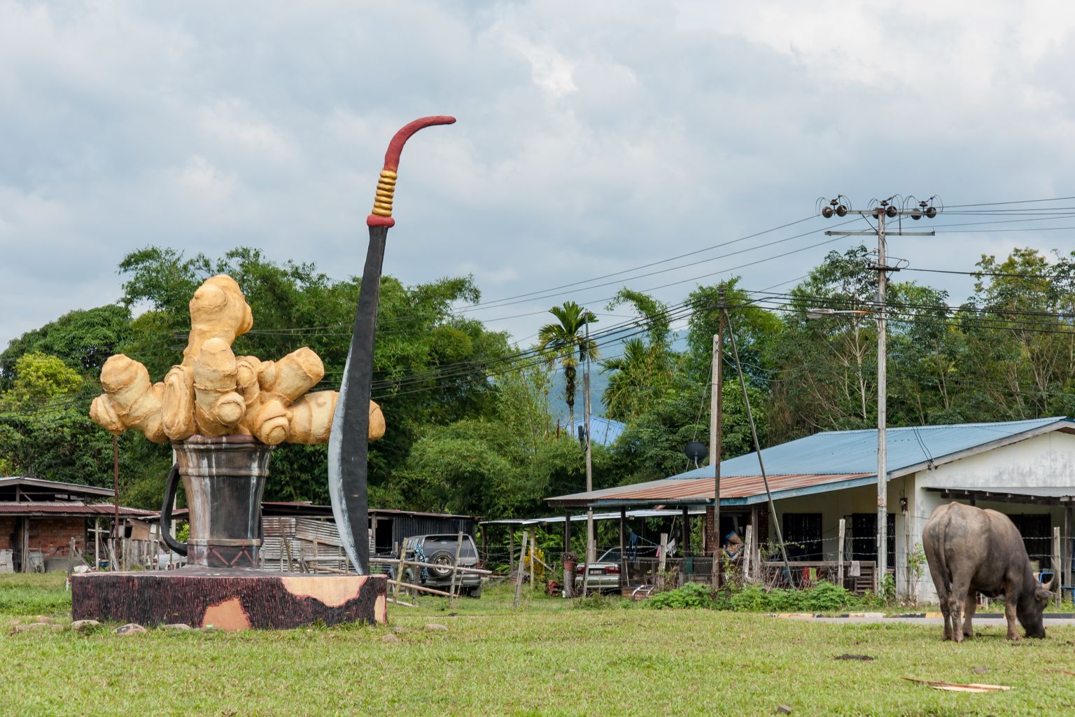 Sabah, the Land Below the Wind with weirdly wonderful roundabout ...