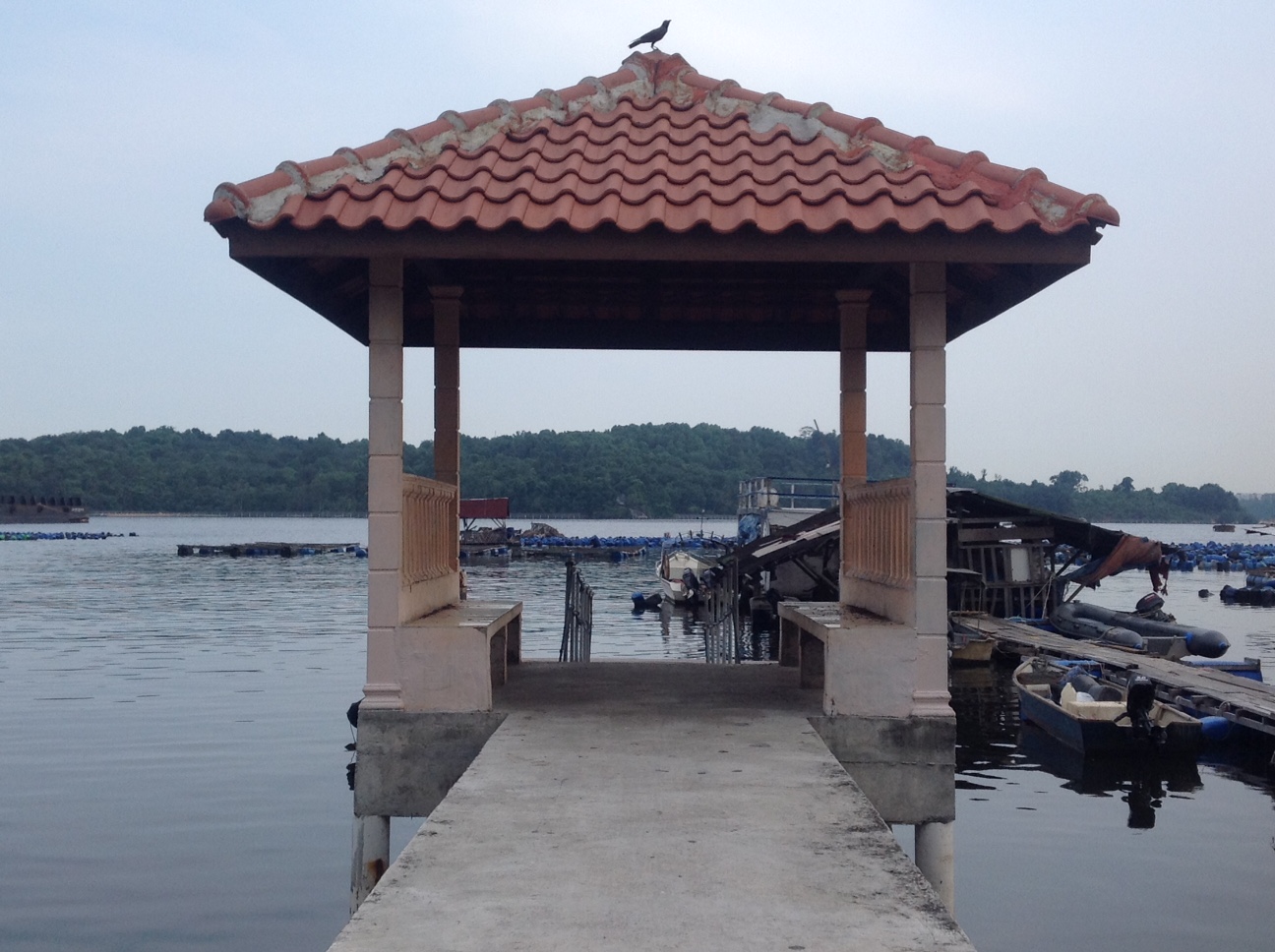 Pasir Puteri jetty - ExpatGo