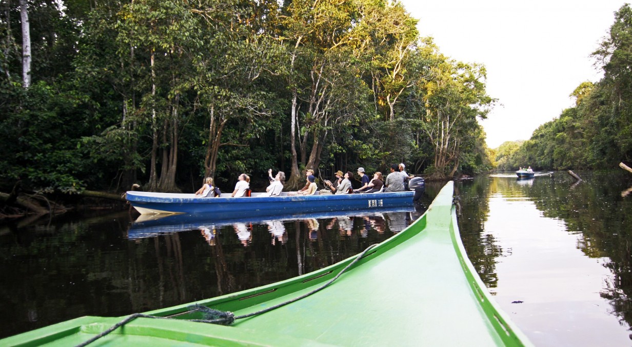 Expat Excursions: Sabah's Kinabatangan River - Expatgo