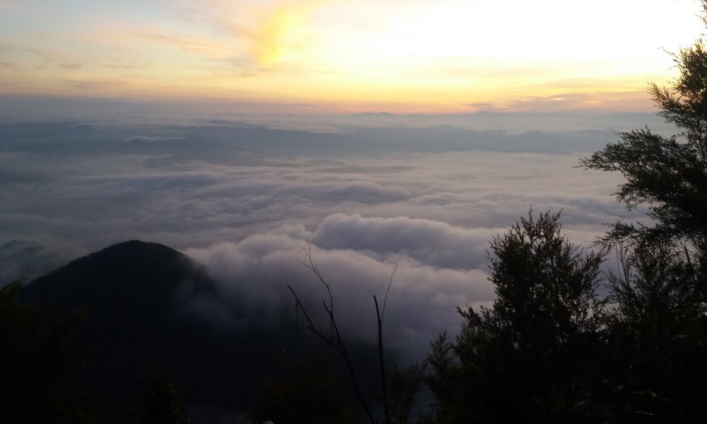 Lessons Learned From a Night Hike in Perak - ExpatGo