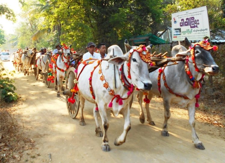 Myanmar’s Shin Pyu Novitiation Ceremony - ExpatGo