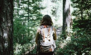 national park outdoor safety