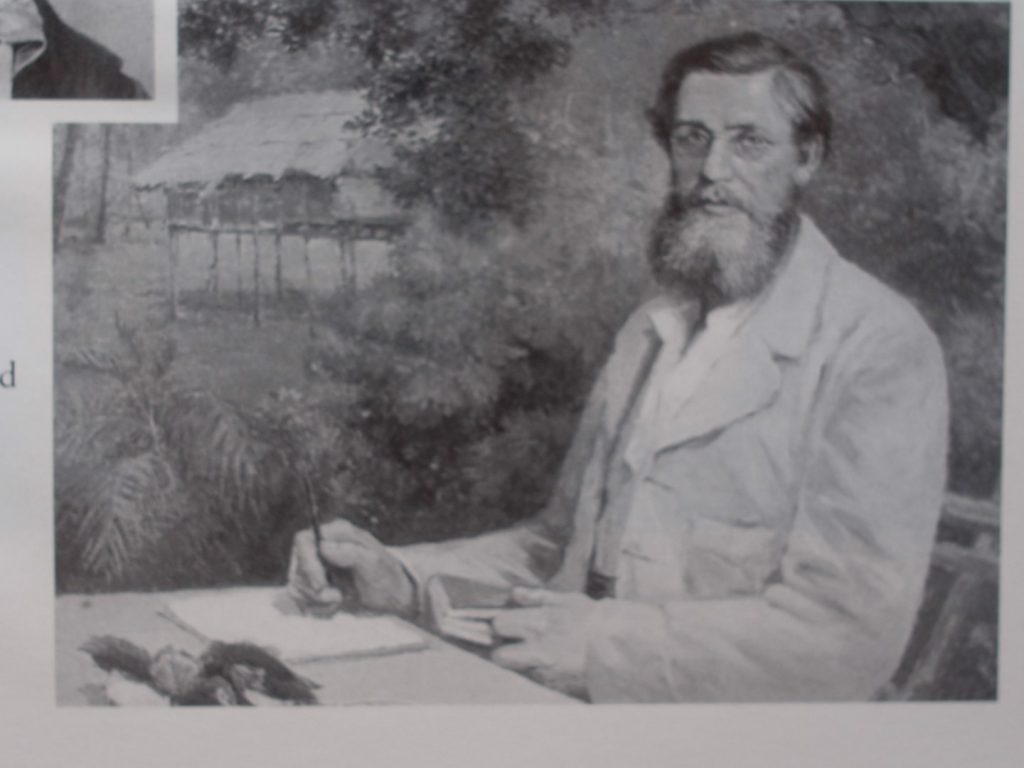 alfred russel wallace and malay archapeliago