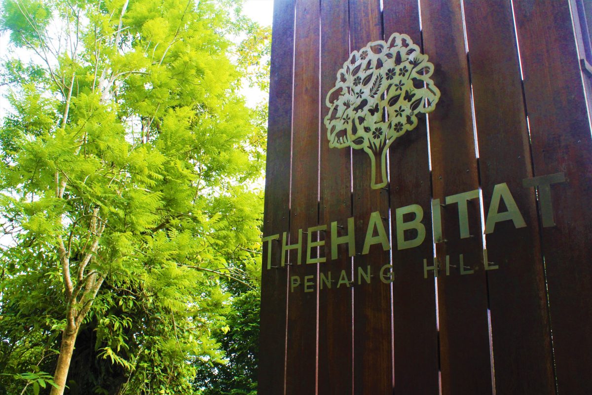 The Habitat: Discover Forest Bathing in an Aboriginal Rainforest - ExpatGo