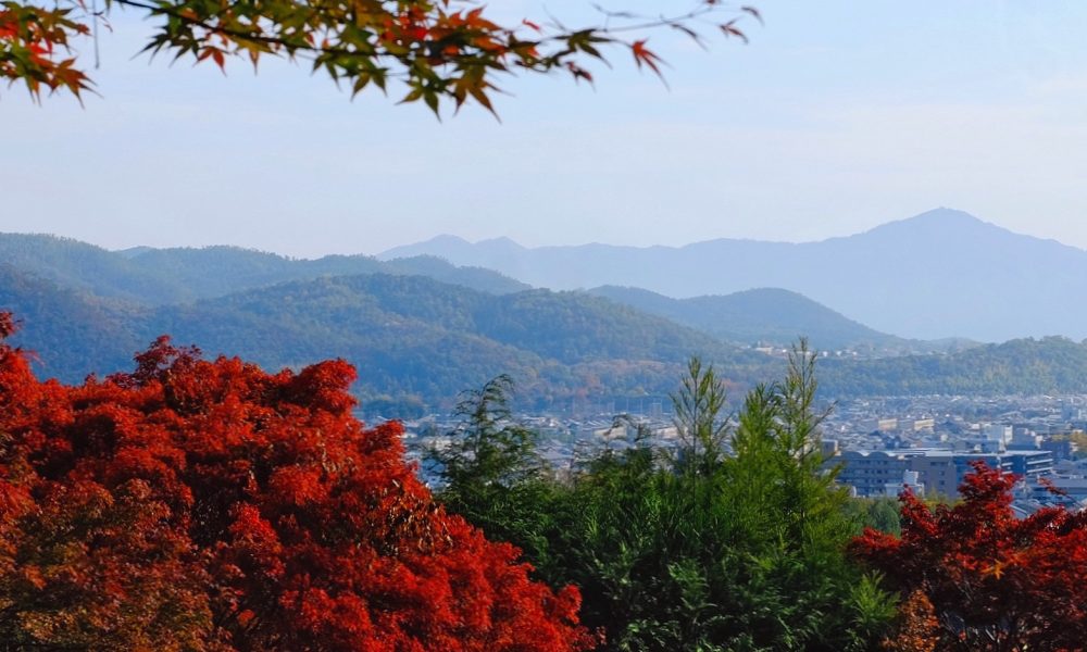 Dining and Discovery in Japan’s Kansai Region